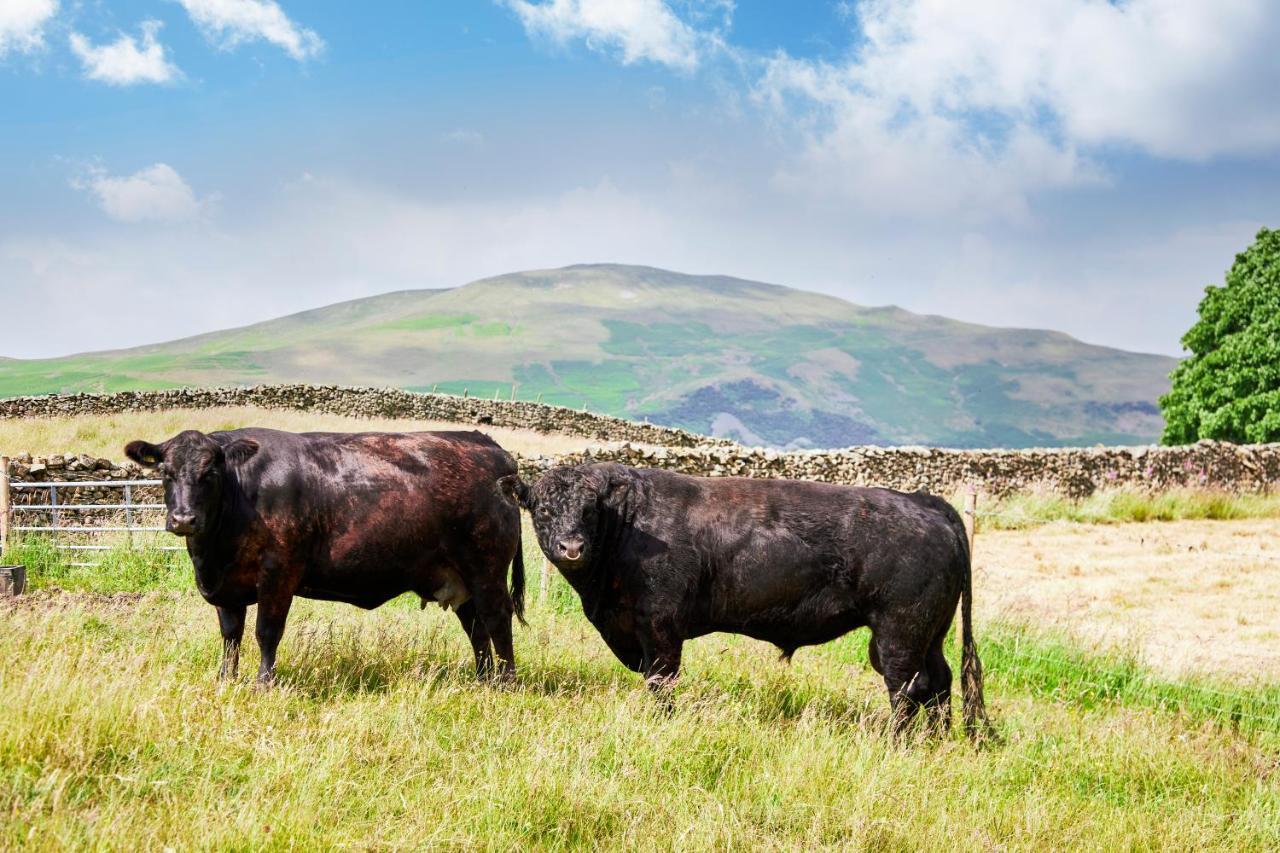 The Dalesman Country Inn Sedbergh Zewnętrze zdjęcie